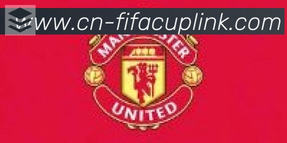 FIFA世界杯盘口官方网站合作伙伴